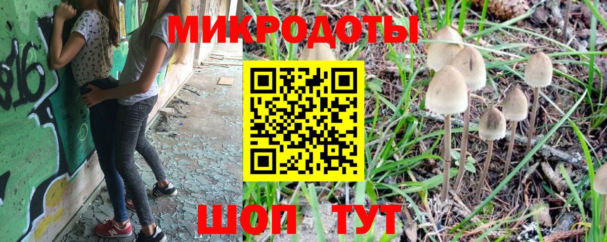 Галлюциногенные грибы прущие грибы Черняховск