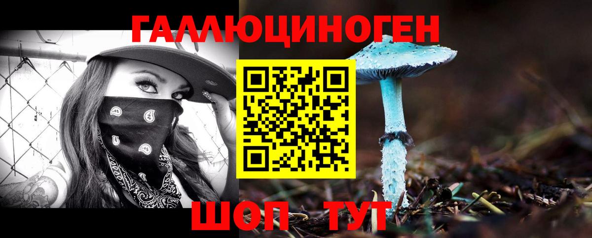 Псилоцибиновые грибы Psilocybine cubensis  наркотики  Черняховск  Вход с VPN  Галлюциногенные грибы Cubensis 